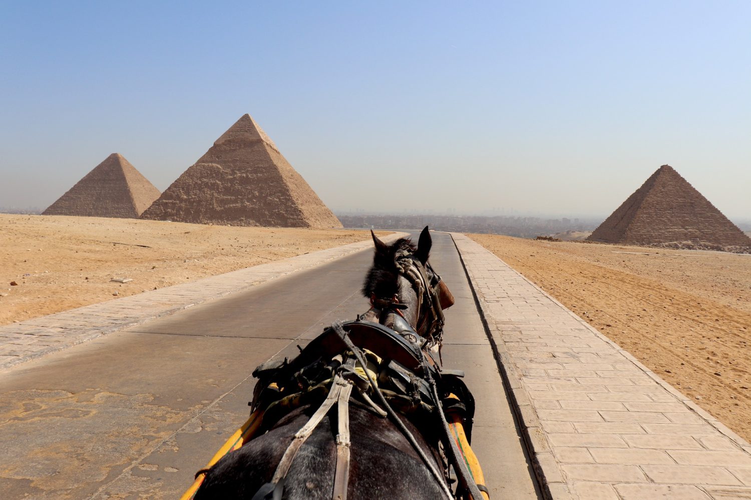 day tour to pyramids and Egyptian museum