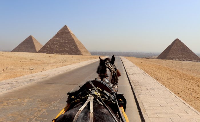 day tour to pyramids and Egyptian museum