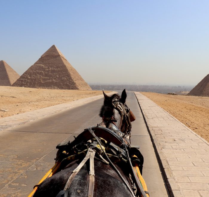 day tour to pyramids and Egyptian museum