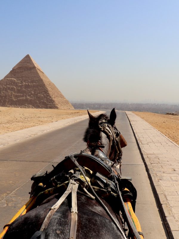 Cairo tour package