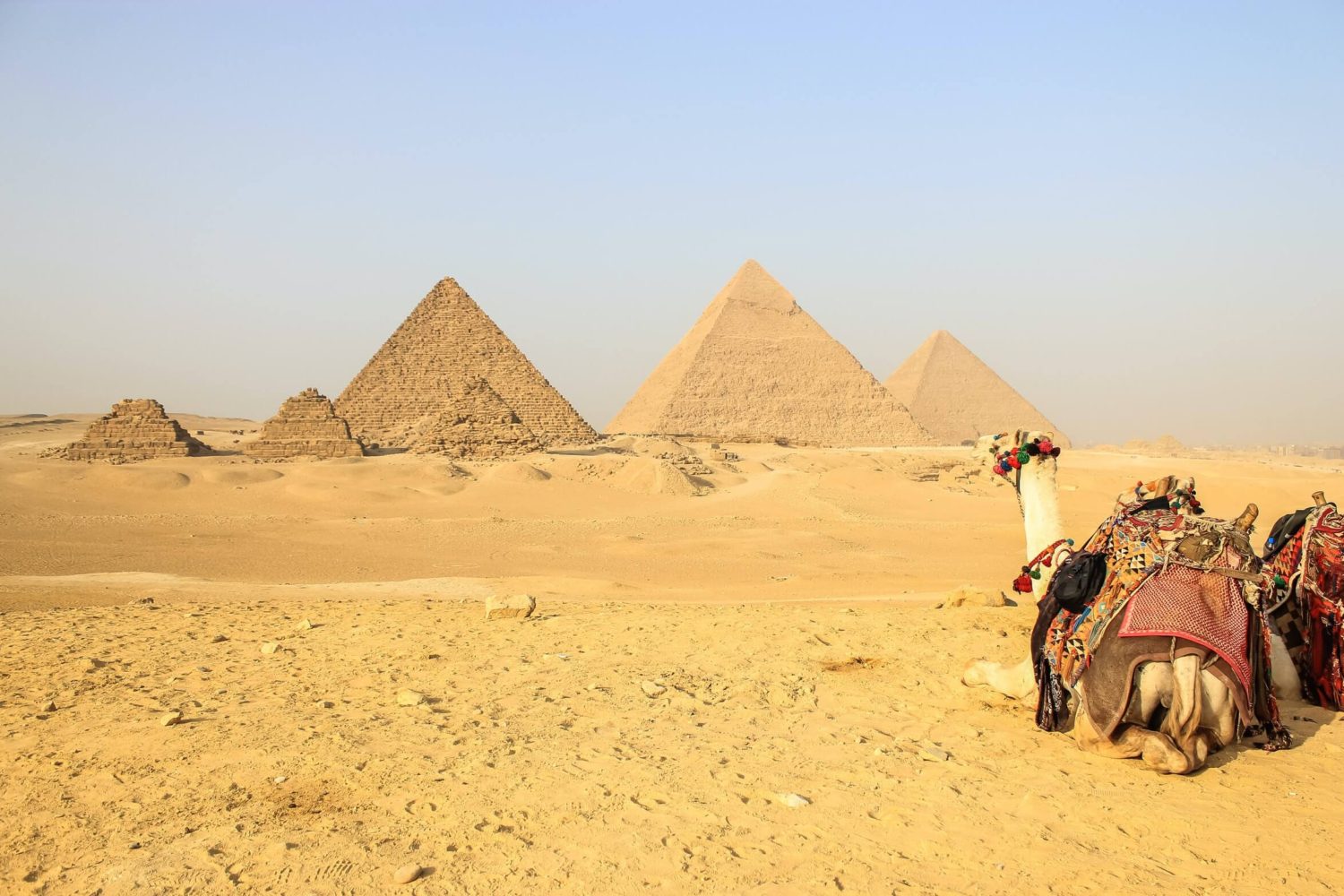 9 Days trip to Egypt: Cairo, Luxor, Aswan with Abu simble and the Red Sea