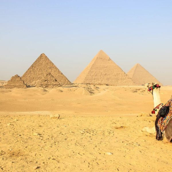 9 Days trip to Egypt: Cairo, Luxor, Aswan with Abu simble and the Red Sea