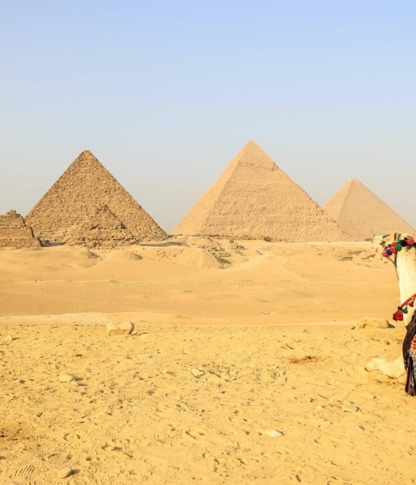 9 Days trip to Egypt: Cairo, Luxor, Aswan with Abu simble and the Red Sea