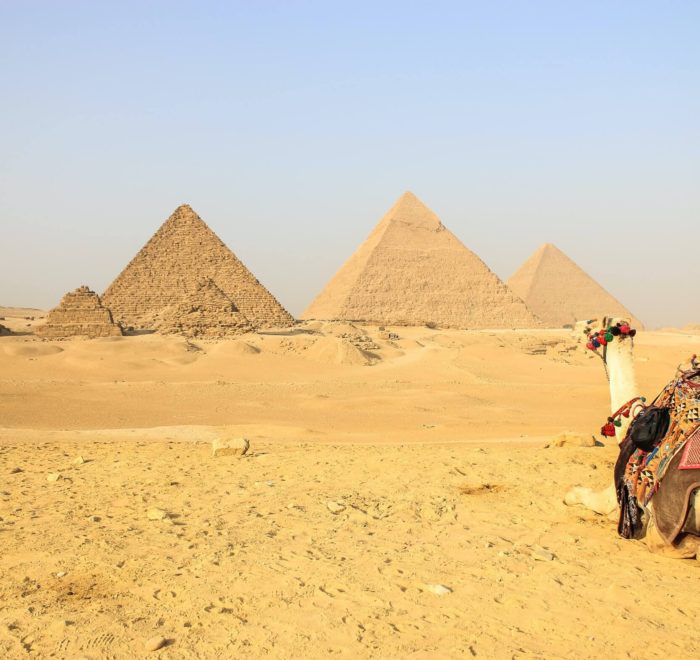 9 Days trip to Egypt: Cairo, Luxor, Aswan with Abu simble and the Red Sea