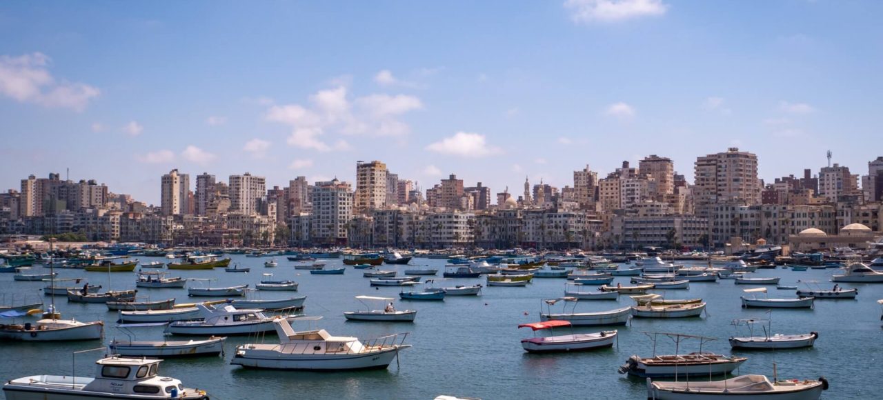 private day tour to alexandria city