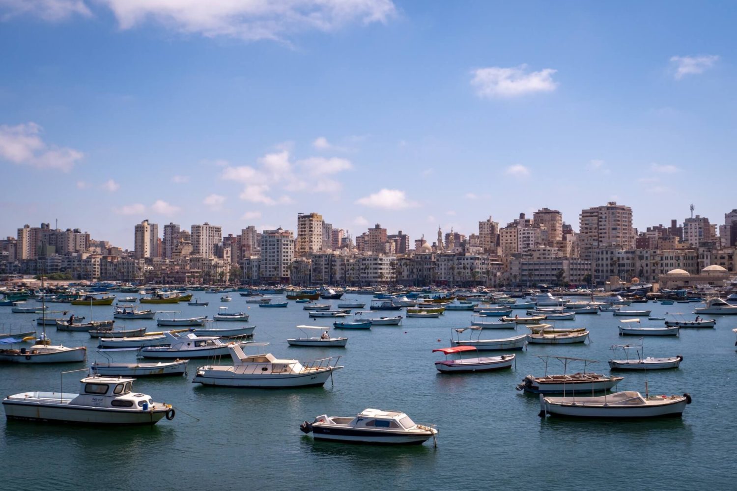 private day tour to alexandria city