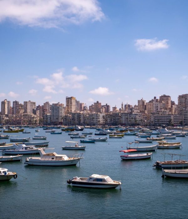 private day tour to alexandria city