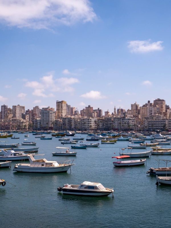 private day tour to alexandria city