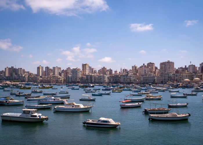 private day tour to alexandria city