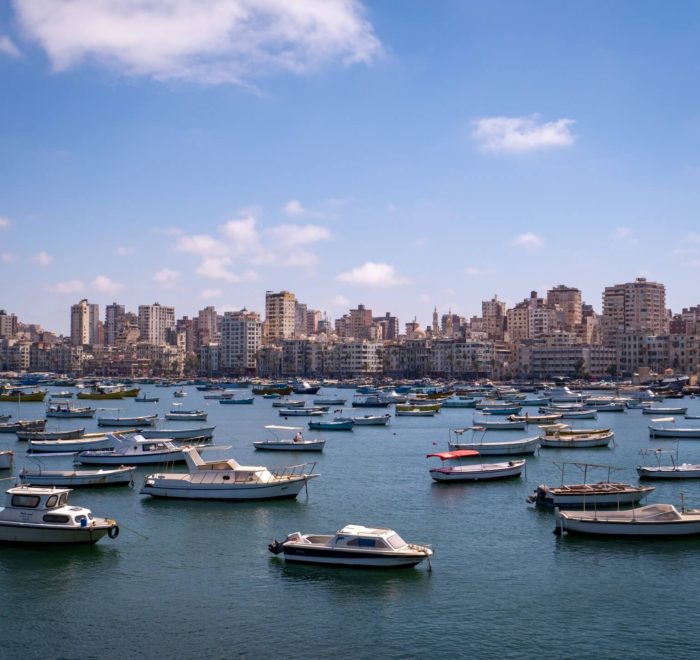 private day tour to alexandria city