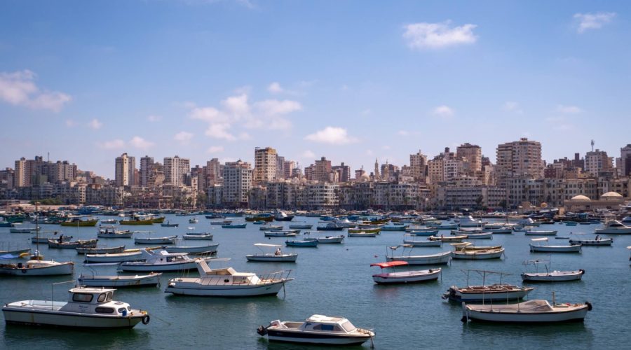 private day tour to alexandria city