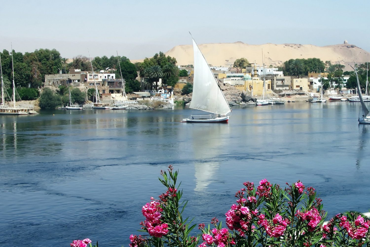 5-days Cairo Aswan Abu simble