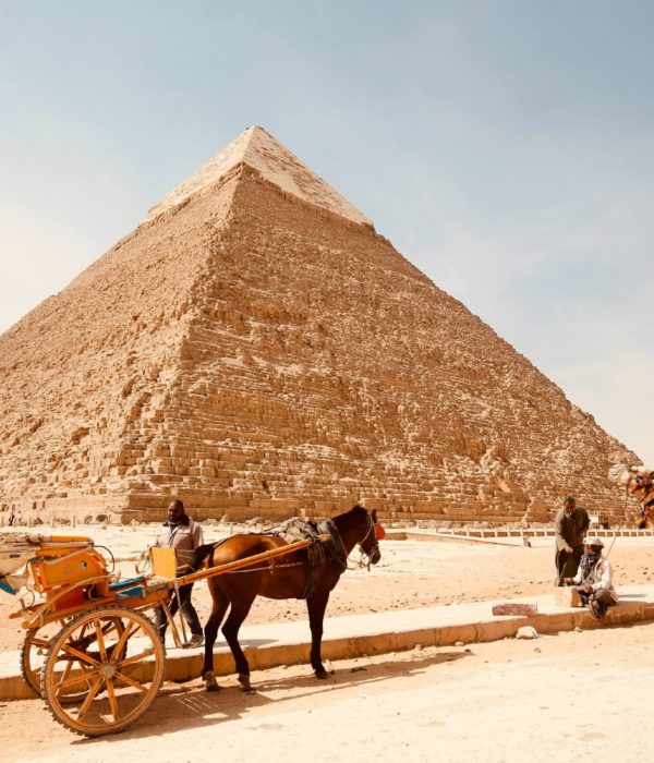 Trip to Egypt: 8 days Cairo, Aswan to Luxor Cruise and Hurghada red sea